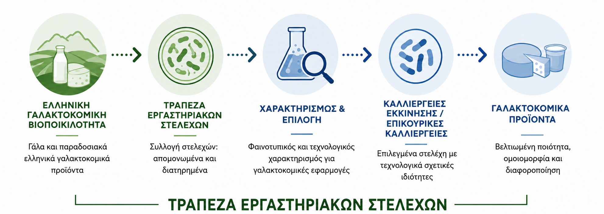 lab strain el